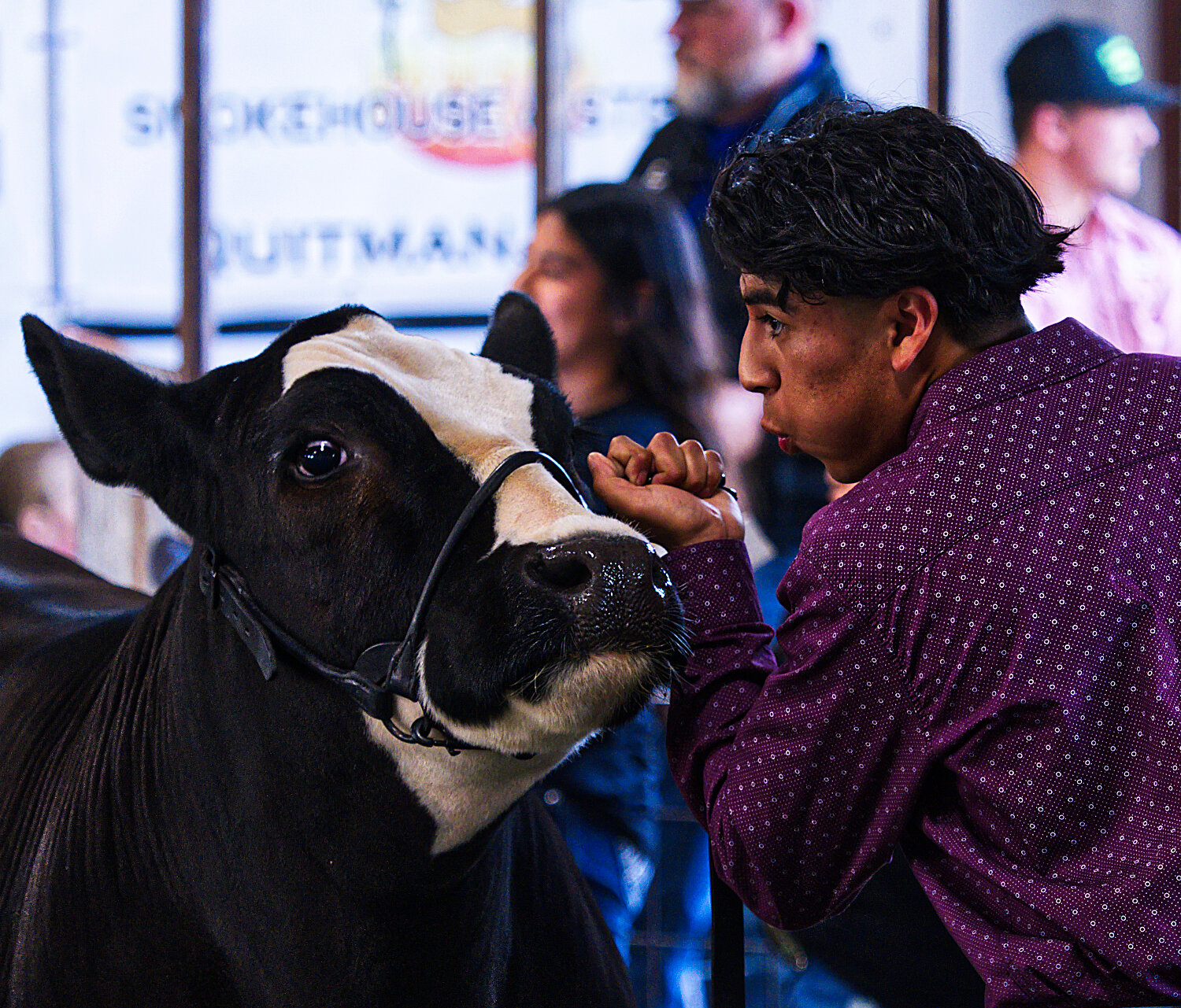 Mineola's Fernel Ventura of Wood County 4-H shows his grand champion market steer, which drew a bid of $10,500 to start the auction. [see some more sale images]
